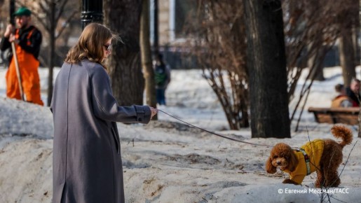 ���� � ������ ���� ������������, � ������� ������ ������� ����������� �� 2-3 �� � �����, ��������� �� ������� �������� ����� 10 ����, �������� ���� �������� ������� �������