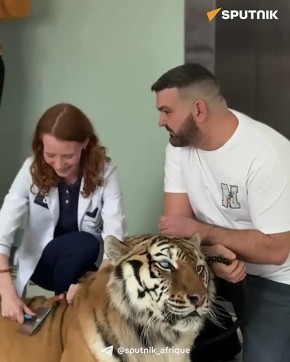 ������ �������. � ������ ������� �������� ��������� ������� ������������ ������