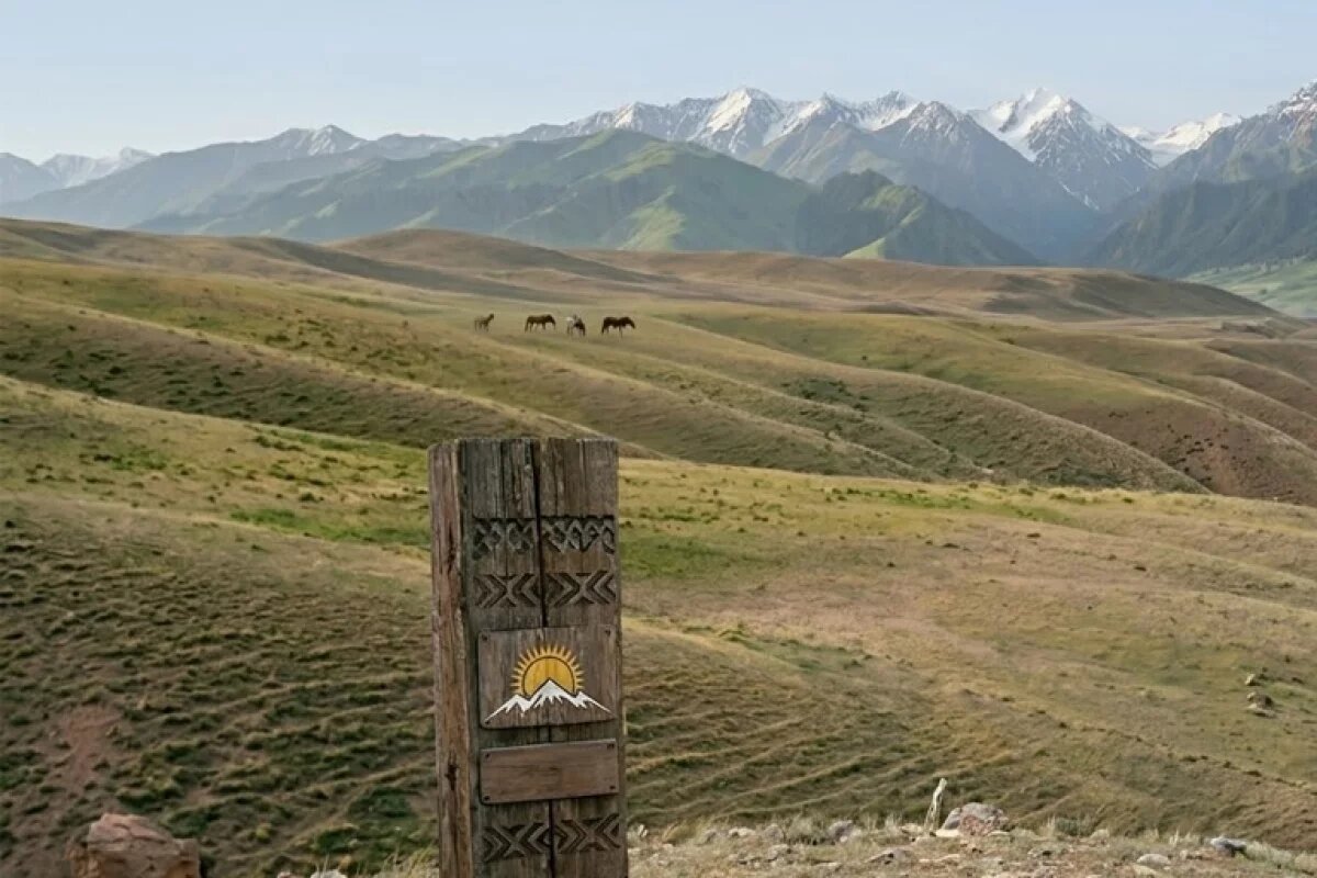 Токаев подписал закон, который изменит будущее туризма и детского спорта в стране