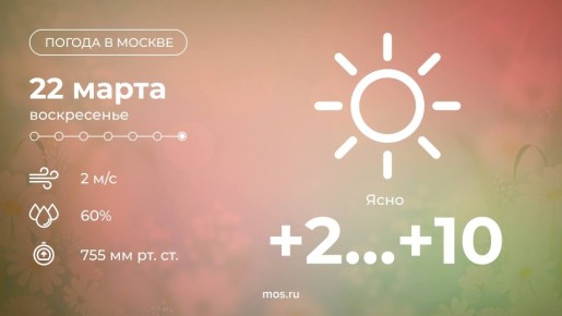 Доброе утро! Сегодня в столице ожидается ясная погода