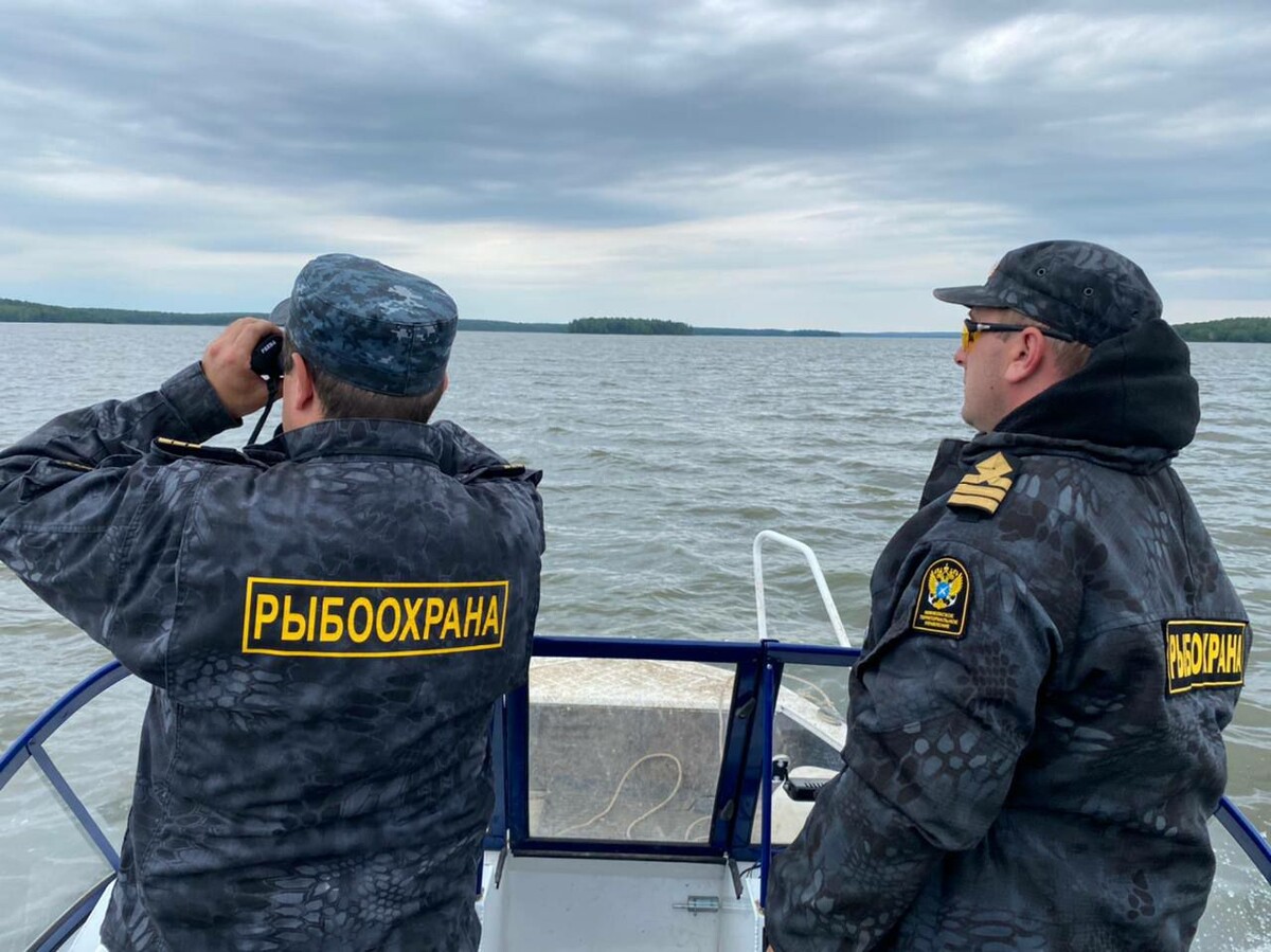 Автоматизация контроля рыбной ловли: Президент России инициирует внедрение современных технологий