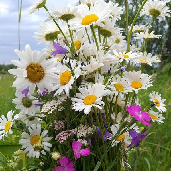 Письма от души: когда слова согревают