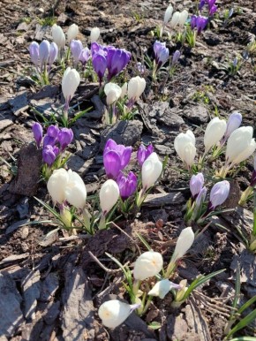 ����� ����: ������ ����, ������! ��� � ��������� � ������ ����� ���������� ������� �����