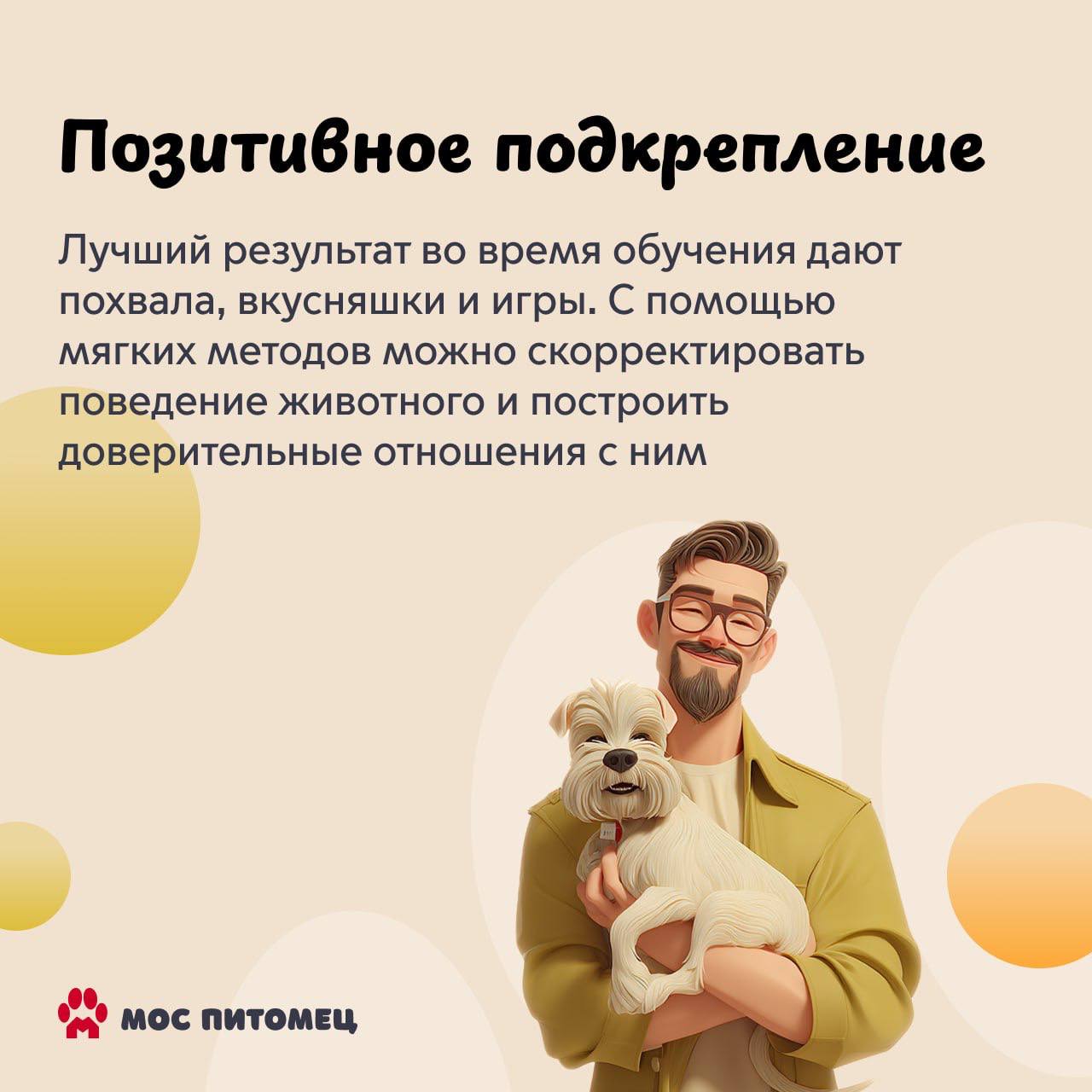 Воспитание собаки — это длительный процесс, в котором важна каждая деталь Воспитание собаки — это длительный процесс, в котором важна каждая деталь