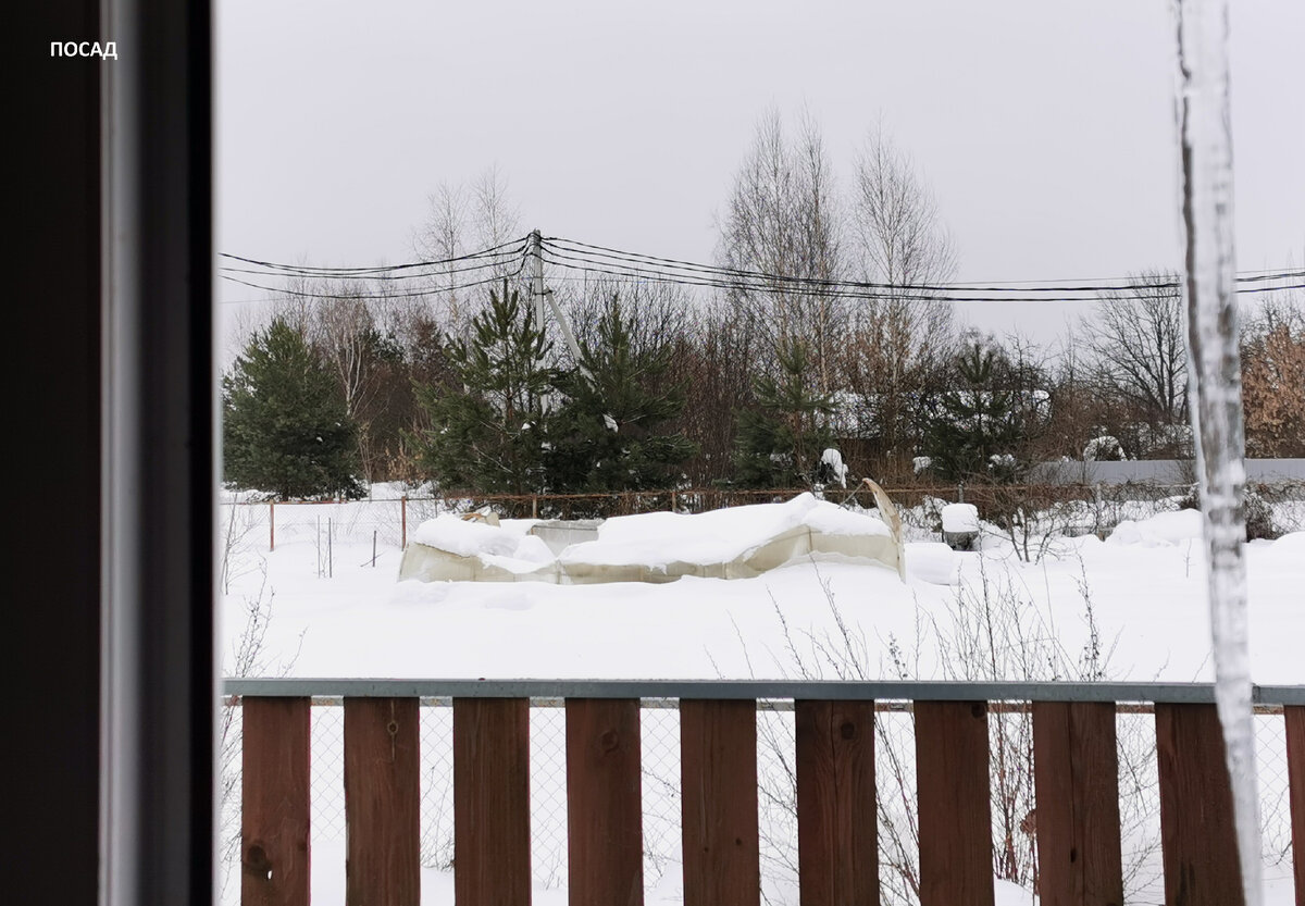 Опыт соседей: Что выбрать для зимней теплицы — арочную или коньковую?