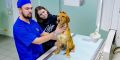 Еще 22 услуги появились в сервисе «Запись на прием к ветеринарному врачу» на портале mos.ru. Среди них: