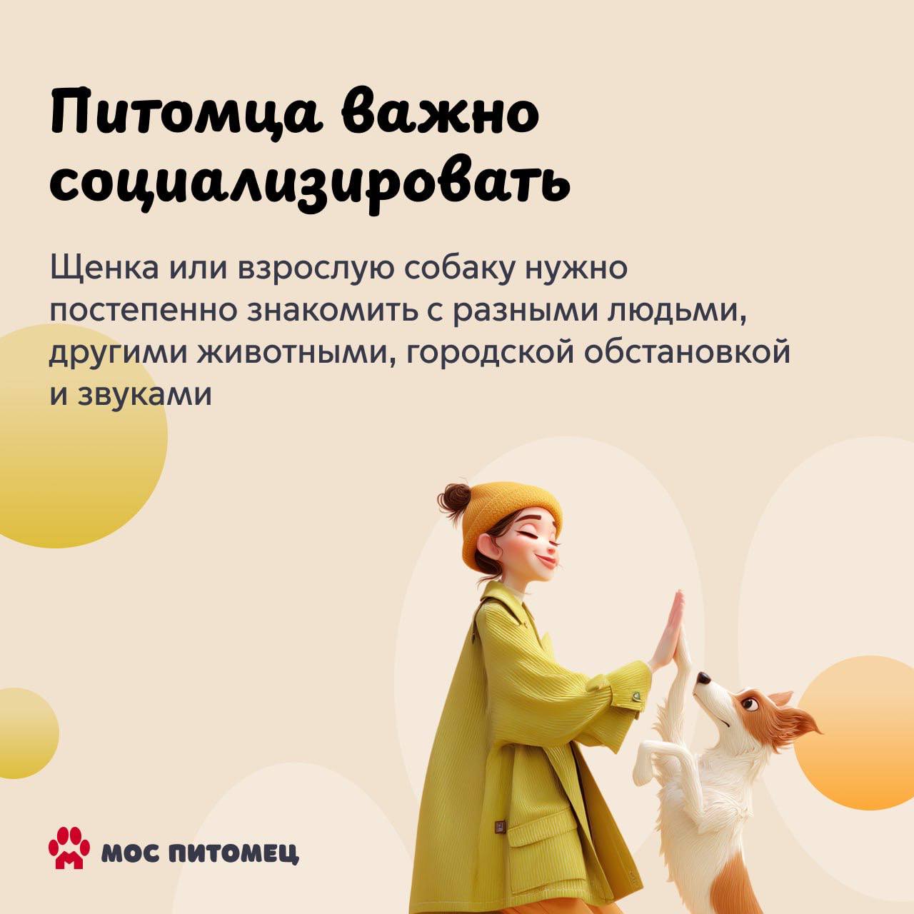 Воспитание собаки — это длительный процесс, в котором важна каждая деталь Воспитание собаки — это длительный процесс, в котором важна каждая деталь