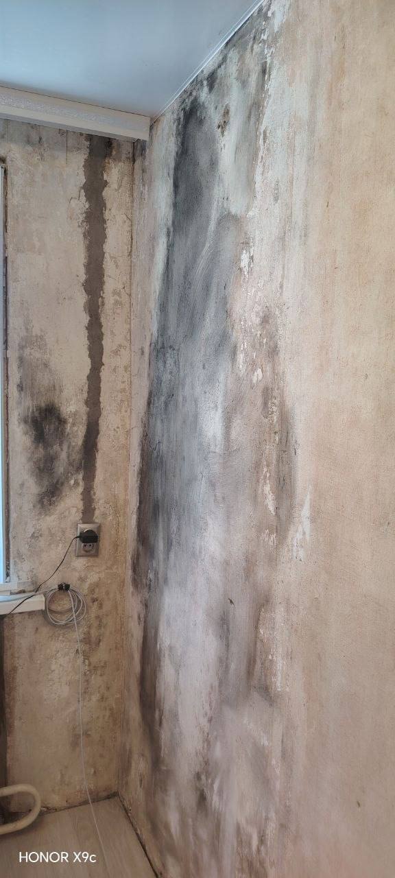 Юрий Баранчик: Дорогие Братья и Сестры во Христе! Юрий Баранчик: Дорогие Братья и Сестры во Христе!