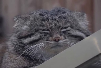 ����� ������� ��������� � ����������, � �� � � ����� ������������!