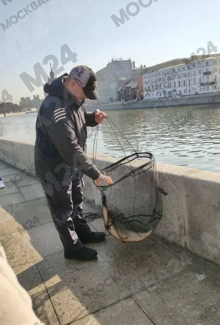 Весна — первые рыбаки появились в центре Москвы и уже с таким уловом! Весна — первые рыбаки появились в центре Москвы и уже с таким уловом!