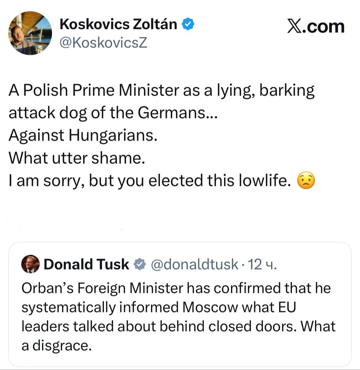 «Польский премьер-министр как лживый, лающий цепной пёс немцев... Против венгров. Какой позор. Мне жаль, но сами вы избрали этого подонка»: