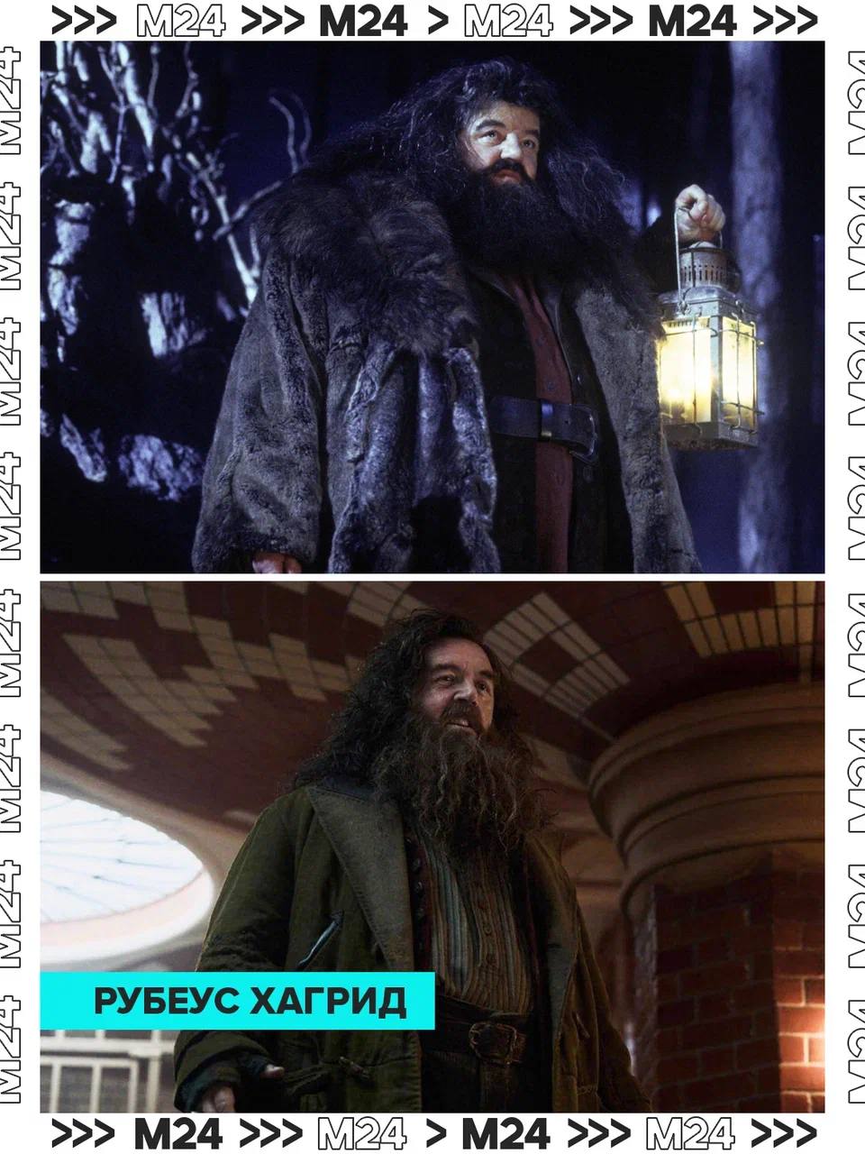 Фанаты разобрали на молекулы первый трейлер «Гарри Поттера» от HBO Фанаты разобрали на молекулы первый трейлер «Гарри Поттера» от HBO