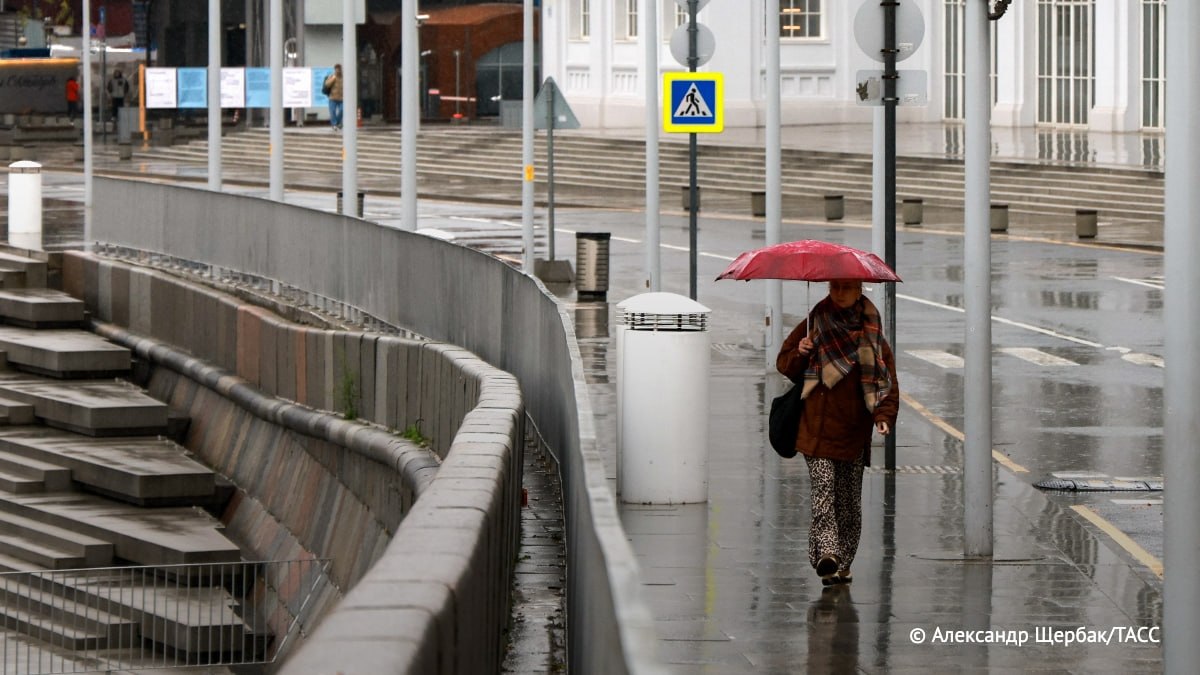 Небольшой дождь и температура до плюс 17 градусов прогнозируется в Московском регионе в выходные