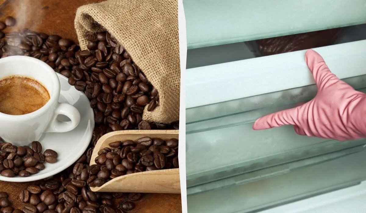 Как сохранить аромат кофе надолго: секреты хранения