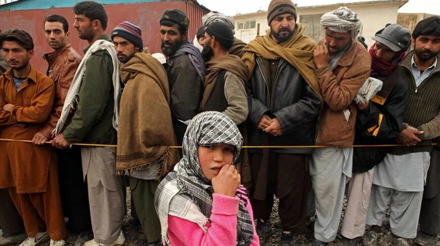 «Крокуса» нам мало? Ждем пополнения в нашей многонациональной семье…