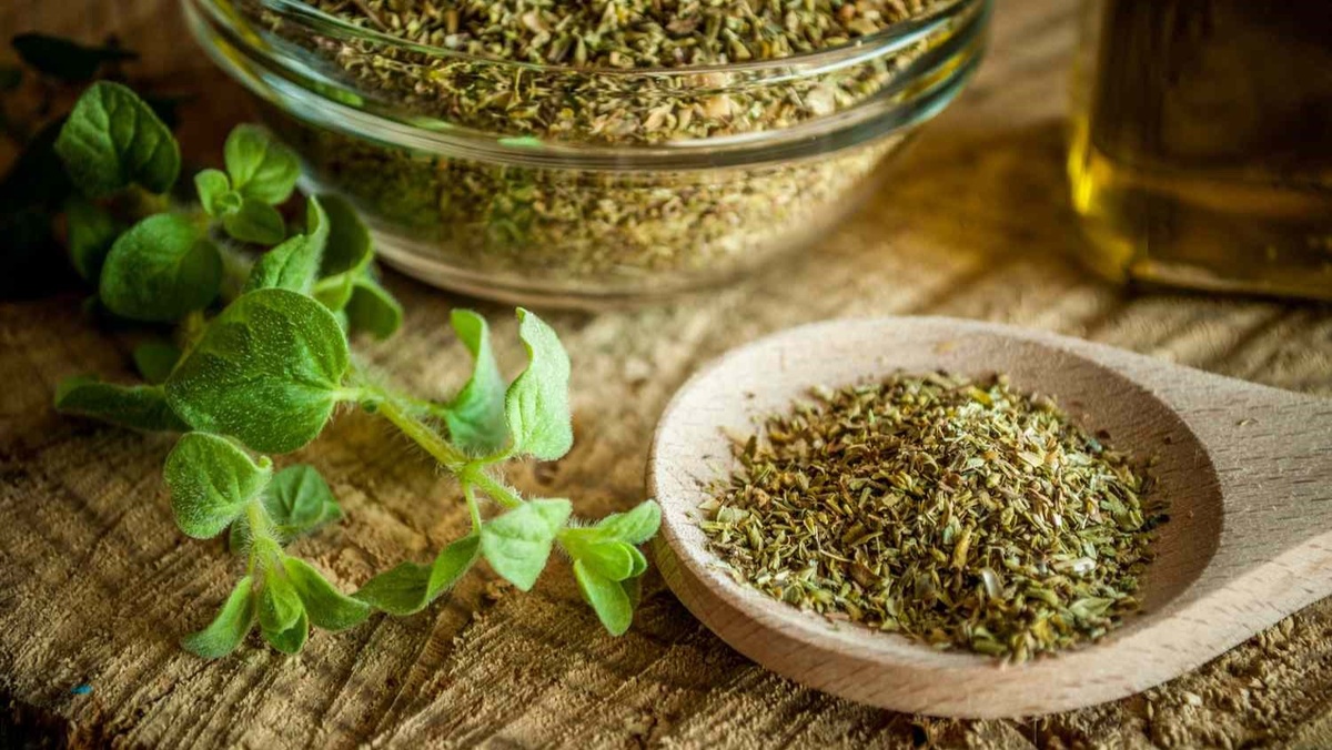 Душица: неожиданный союзник в борьбе с гриппом и раком