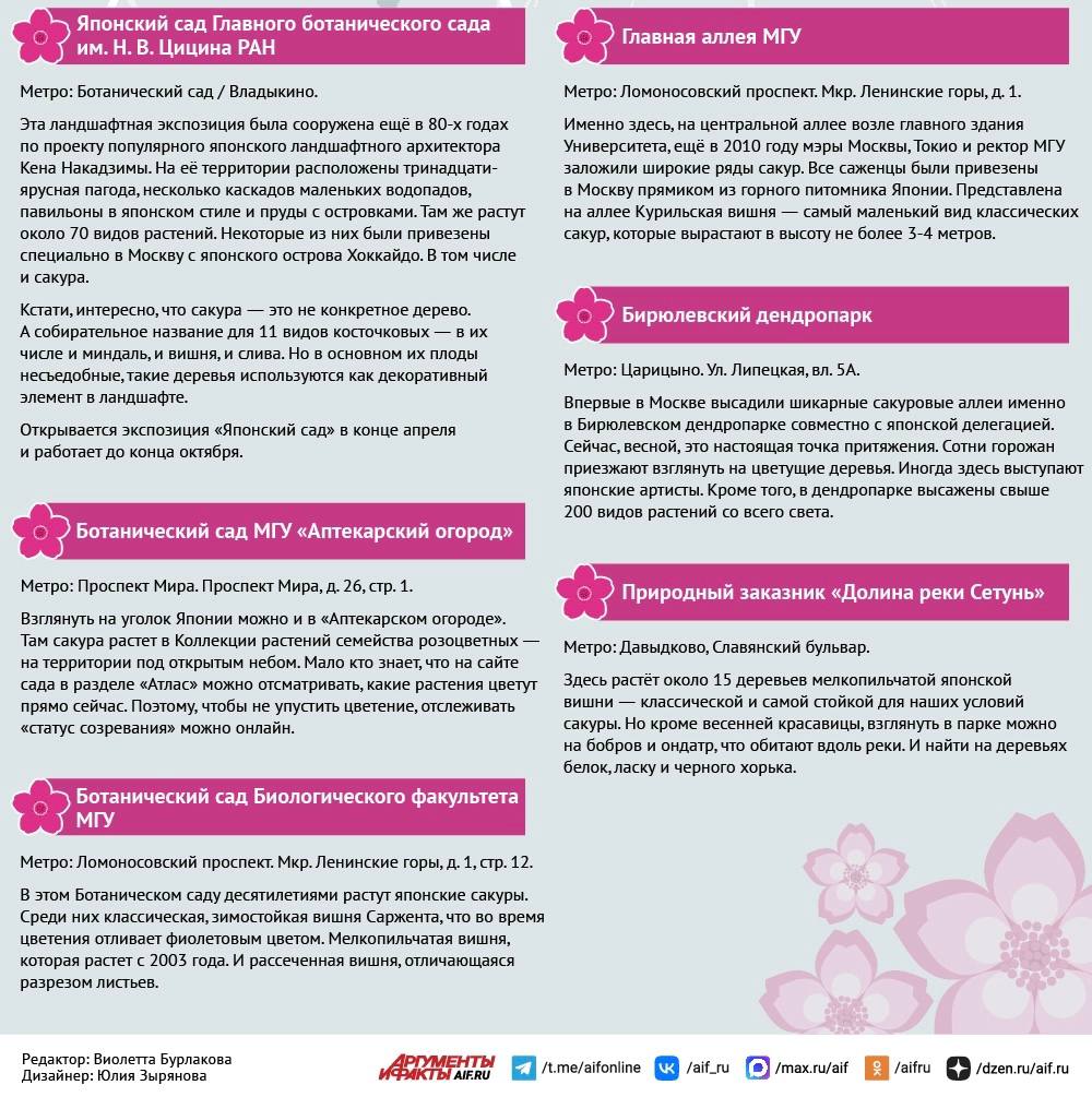 Где посмотреть на цветущую сакуру в Москве весной 2026 Где посмотреть на цветущую сакуру в Москве весной 2026