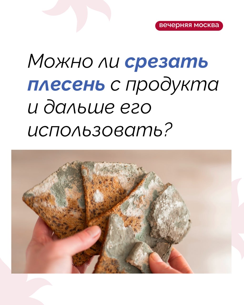Многие хотя бы раз замечали пятнышко плесени на хлебе и думали: «Ничего страшного, срежу — и нормально»