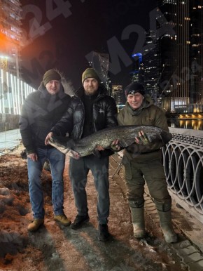 ����������� ���� ������� ����� � �������-����!