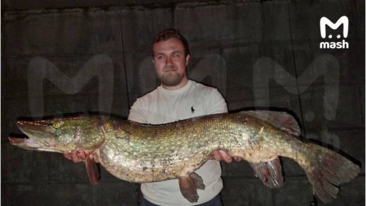 ��������� ���������� 9-������������� ����-�����, ����������� � ������-����