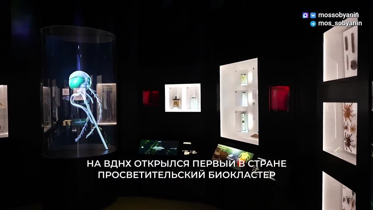 В прошлом году около 19 млн человек посетили музеи и выставочные залы в Москве