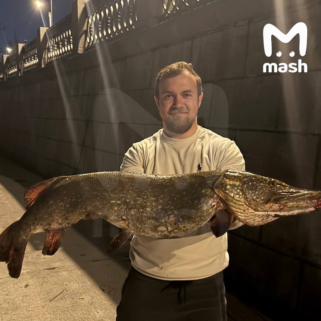 Подписчик хвастается 9-килограммовой гига-щукой, выловленной у Москвы-Сити Подписчик хвастается 9-килограммовой гига-щукой, выловленной у Москвы-Сити