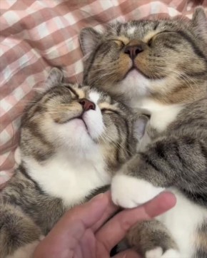 Доброе утро, москвичи!. Сегодня воскресенье — никуда не нужно спешить, чему мы очень рады