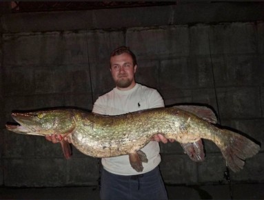 У Москвы-Сити поймали гигантскую щуку весом 9 кг. Трое рыбаков потратили два часа, чтобы вытащить добычу из реки