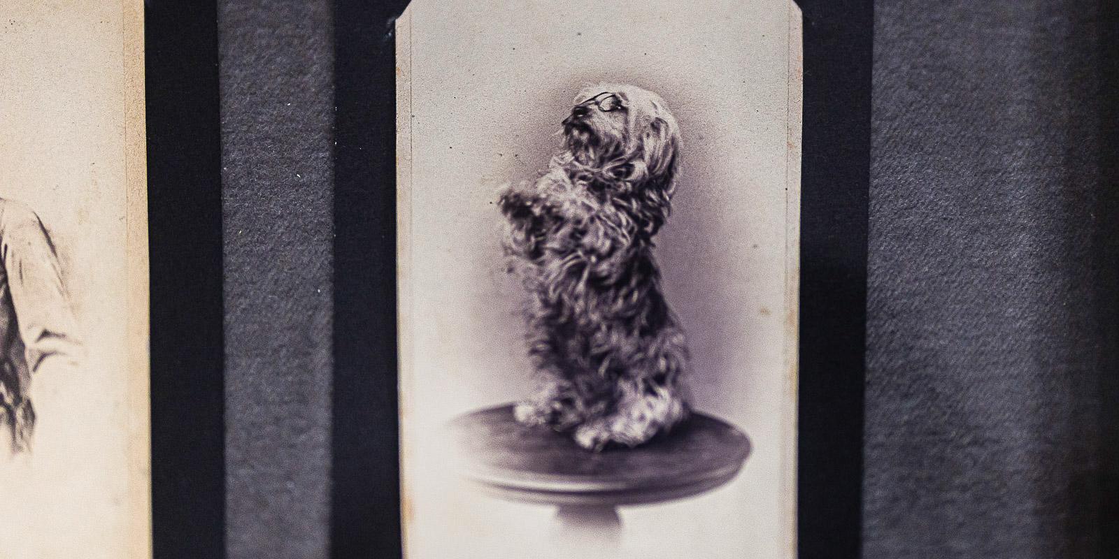 Музей В.А. Тропинина и московских художников его времени приглашает на выставку «Эффект памяти» Музей В.А. Тропинина и московских художников его времени приглашает на выставку «Эффект памяти»