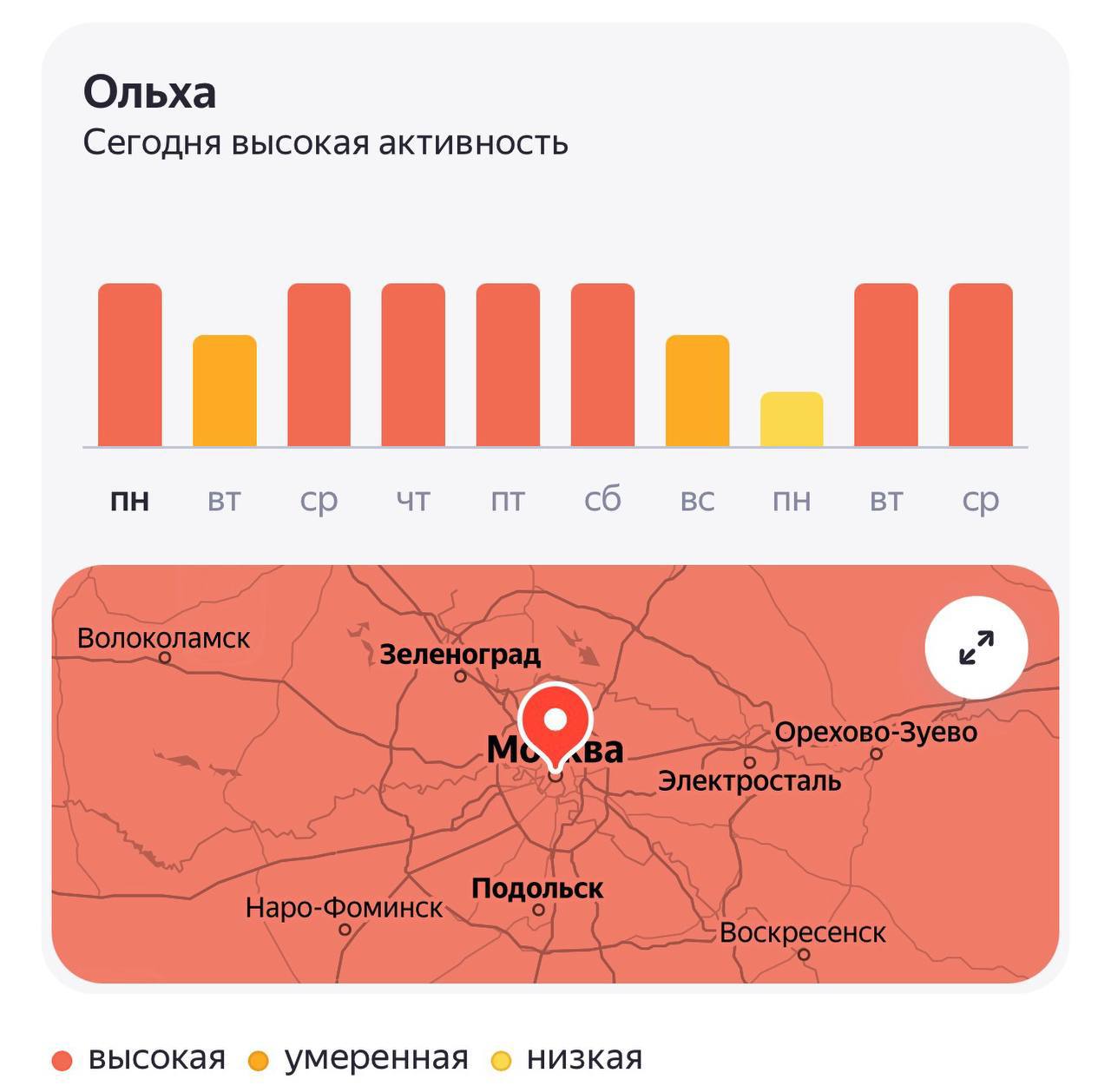 Аллергики, держимся! Из-за аномально тёплой весны вслед за орешником начала цвести ольха раньше срока