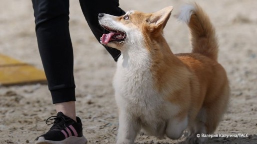 ���� �� �������� ��� ������ ����� ������� � ���� � 1 ������