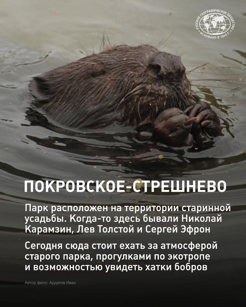 Куда отправиться на прогулку в Москве? Куда отправиться на прогулку в Москве?