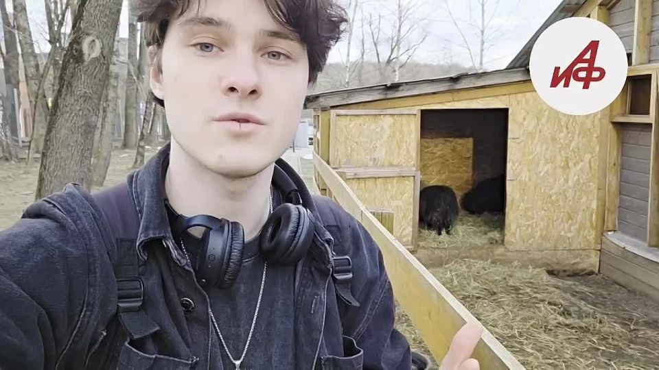 ����� ���� ������� ���� ���� ��������