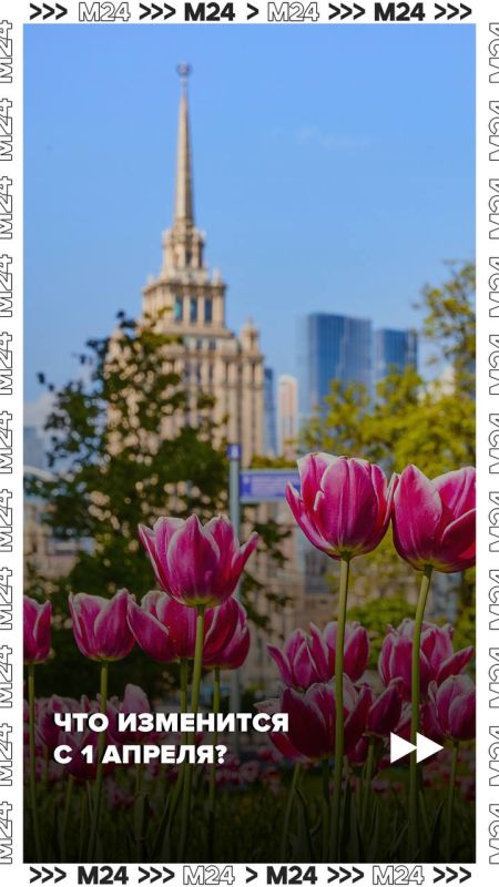 � ������ � ���� �������� ������ ���������