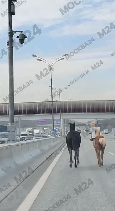 ������ � �� ����.. ������ � ���� ����� ��������, ���� ����������. ��������, ������ ���������!