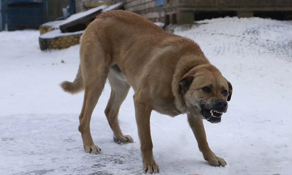 ������� ������� ��������� ����������� �� ����� ��������� ������