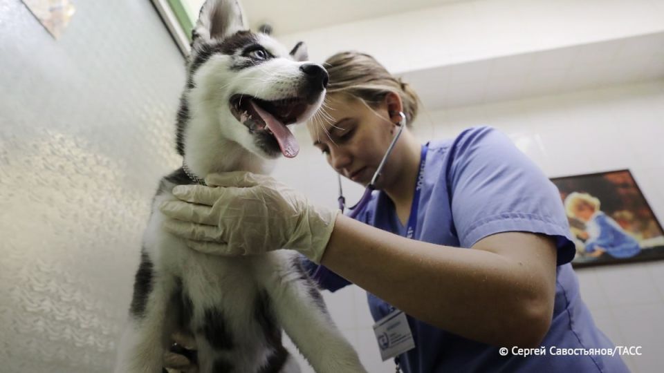 �� ����� � ��������� � ������ ��������� ������ � �������� ����� ����, ����� � ��� ����, ���������� ��� "�����������������"