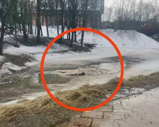 � ���������� ���� �� ��������� ��������