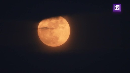 ������ ������� ������� ����