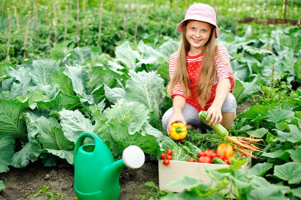 ����������� �������� ��� ������ � ������� � �������