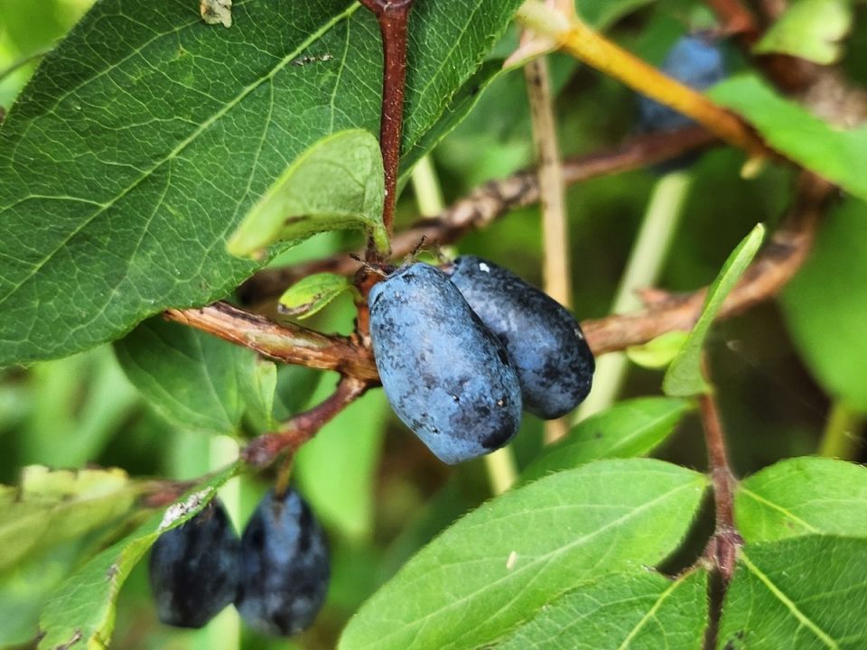 ����� ������: ��� ��������� ��������� � ������� ������ �� ��������� �����