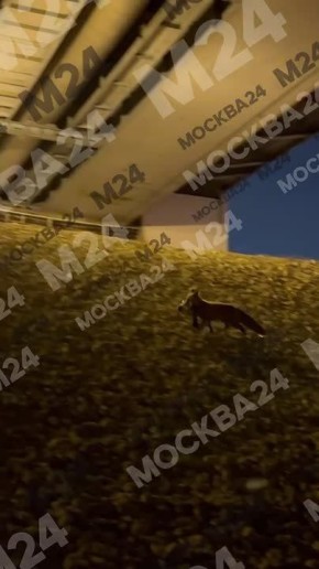 ���� � ����� � ����� �������� � ������ �������� �� ��������� �����