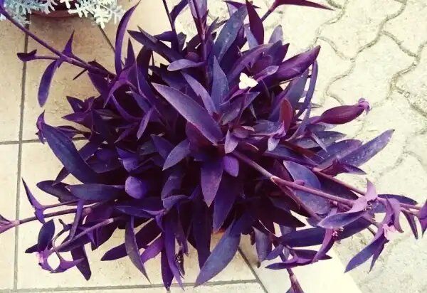 ������������ ����������: ��� ���������� �������� ��������� ������ ���������