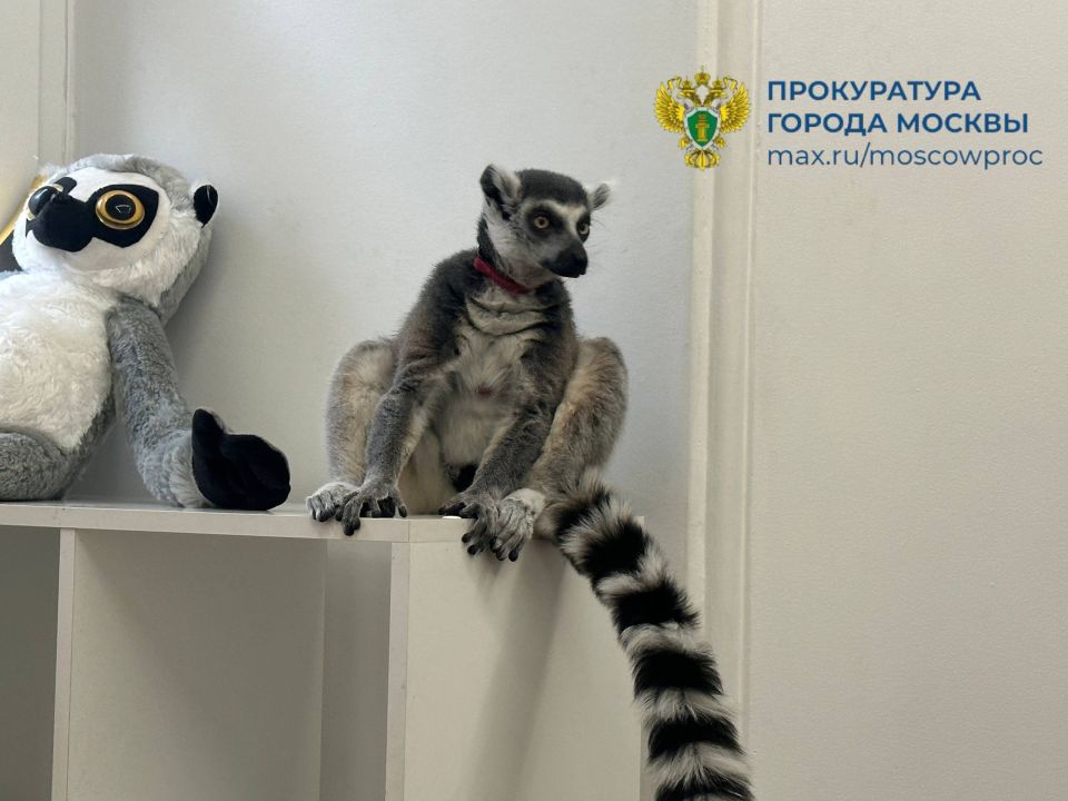 �� ���� ������� �����. ���� ��� ���������� ���������� � ������������� �������� ������ ����� ����� � �����, ������������ ��� ������� ������������ (�����)