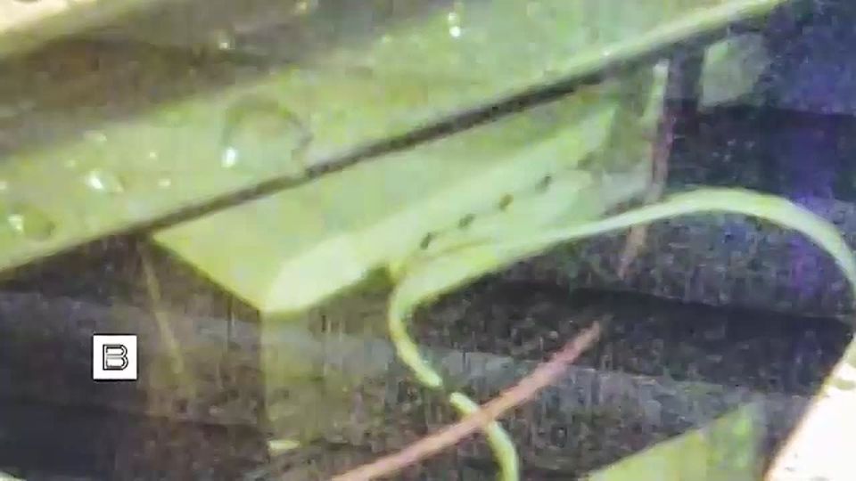 ��� �������� ����� � �����, ��� ��� ����������� �������� ��������� �� ������������������� ���������� ������������������ ������� � ������