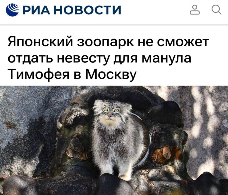 ��������� ������� �� ������ ������ ������� ��� ������ ������� � ������: ���������� ������ ���������� ��� ������ �������