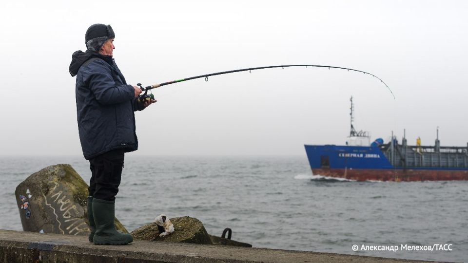 �����������, ������ �������� � ������� ���������� � ����� � � ���� ������ �������� � ������� �������� ����� 150 ���