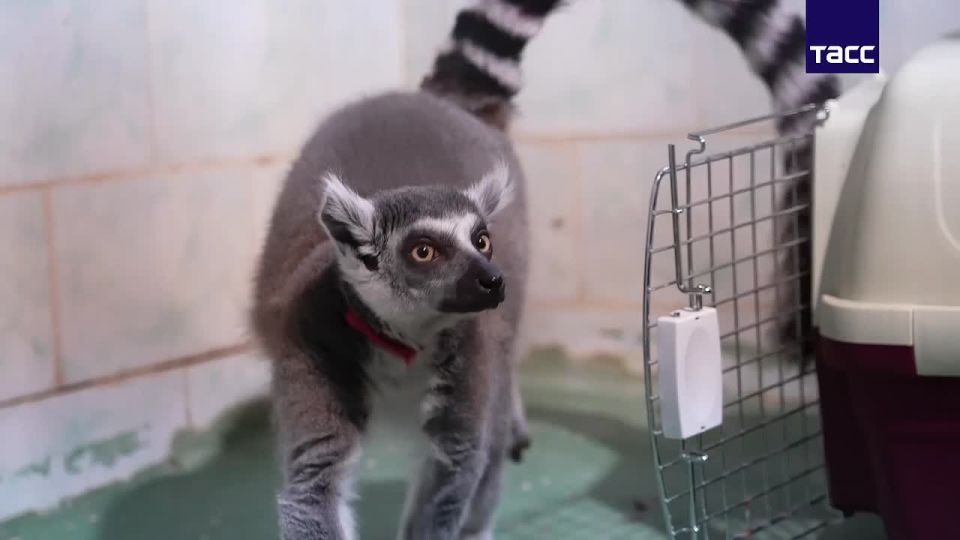 ����� ��������� ������ ������ �� ���������� �������� � ��������� � ���������� �������