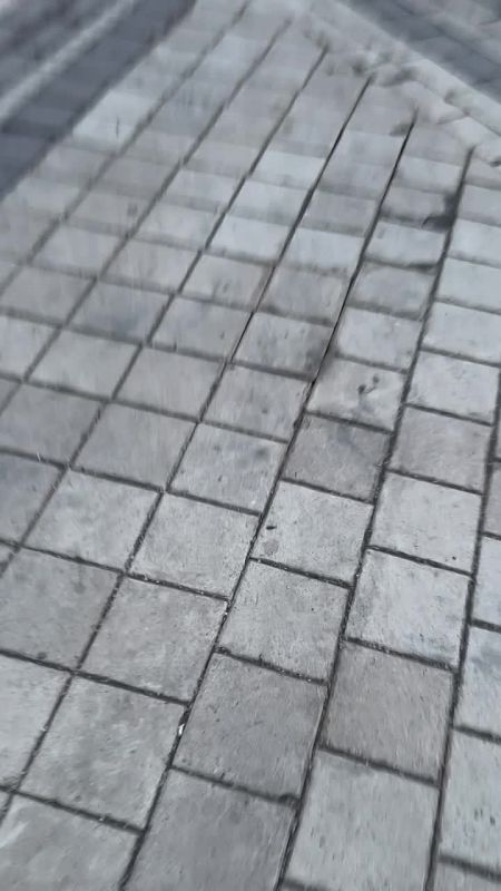 � ����� ������ ������� � ����� ����� �� ���������� ���������� �� ����� �� �� ����������� �����