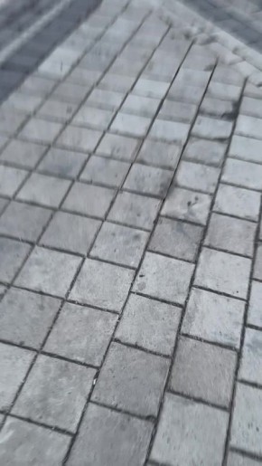 � ����� ������ ������� � ����� ����� �� ���������� ���������� �� ����� �� �� ����������� �����